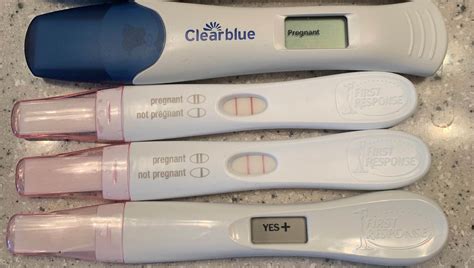 Pregnancy Test .